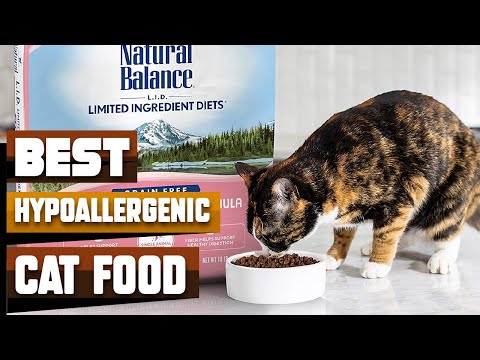 Best Hypoallergenic Cat Food In 2021 - Top 10 Hypoallergenic Cat Foods Review