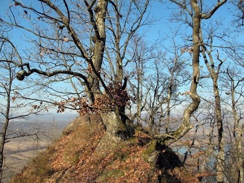 Valea Lesului -- Pe acoperisul Cetatuii. Clit -- Zidul cu arcade si Pestera cu paianjeni uriasi