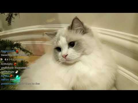 Destiny 2018 Dec 26 VOD - at offline tv house