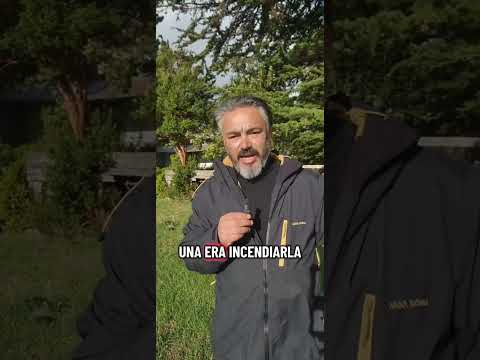 El Basilisco Chilote