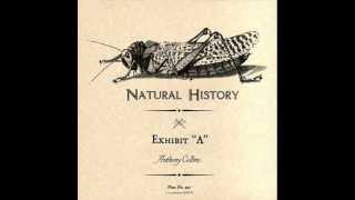 Anthony Collins&Jordan Lieb - Leopard ( Dub)