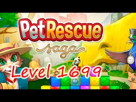 Pet Rescue Saga Level 1699 (NO BOOSTERS)