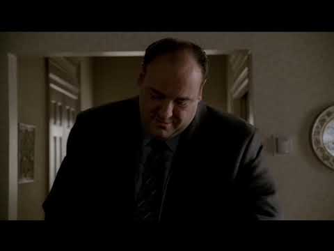 Tony saves AJ from drowning