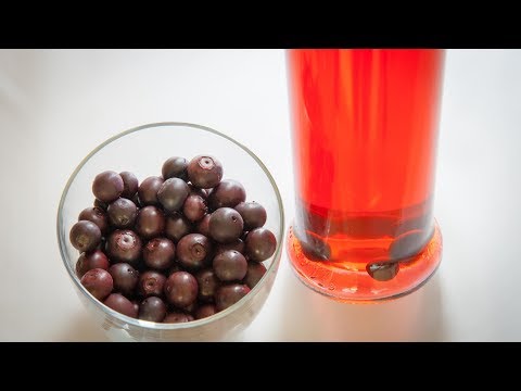 download lagu mp3 mp4 Fermented Blueberry Vinegar Recipe, download lagu Fermented Blueberry Vinegar Recipe gratis, unduh video klip Fermented Blueberry Vinegar Recipe