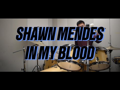 Shawn Mendes - In My Blood | Drum Cover | Vibe Sounds
