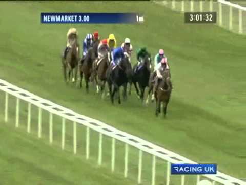 2011 Etihad Airways Falmouth Stakes