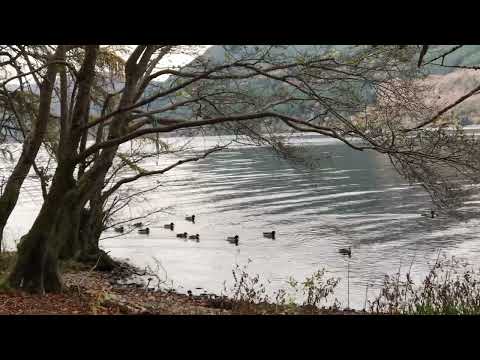 Loving life ❤️👍 Loch Ness breathtakingly awesome! ❤️