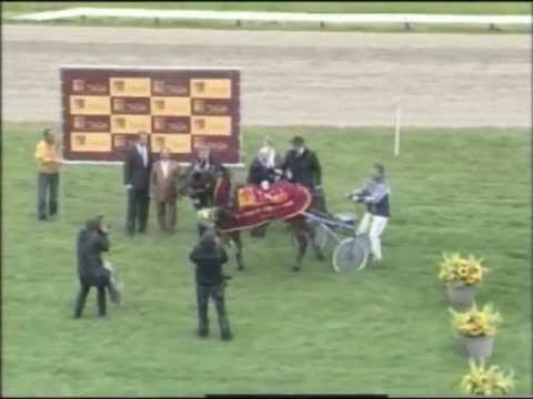 2011 Taqa Grote Prijs der Lage Landen - Zandokan Eden (Frank Westerveld)