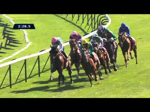 Qatar Prix Chaudenay 2015