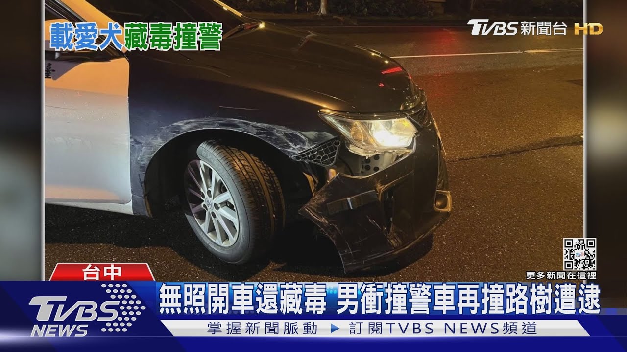 男無照開車藏毒還衝撞警車 柴犬躲後座「皮皮剉」