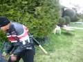 3 Stupid Kids shooting each other with BB guns (part 3 ...