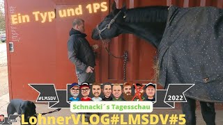 LohnerVLOG #LMSDV #5 Ein Typ und ein PS I Sonntagsrunde mit Hund, Pferd und Frau