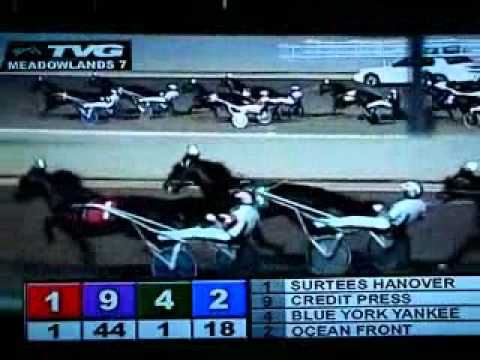 Peter Haughton Memorial 2007 -Blue York Yankee