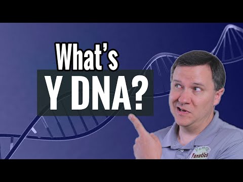 What is the Y-DNA test? | Genetic Genealogy Explained