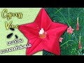 How To Grow Cypress Vine Plant மூலிகை 18 Cypressvine Plant Flowerplants Seedcollection