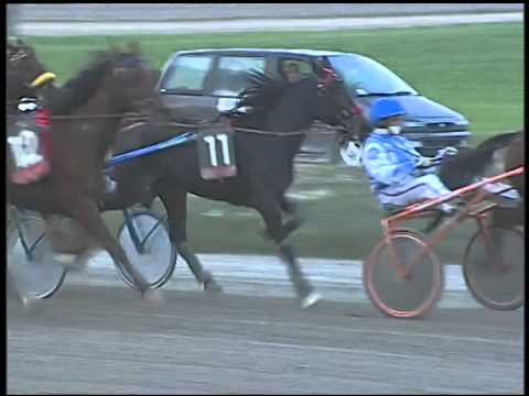 Trotto 25/11/2014 - 2° corsa