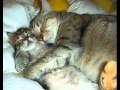 Renan Luce Nuit Blanche 
