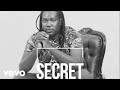 Chief Shumba Hwenje Mark Ngwazi Secret Music Visualizer