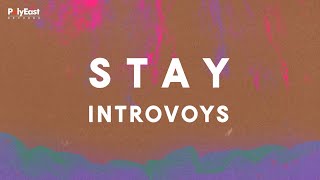 Stay Music Video