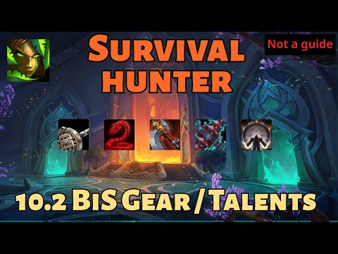 Survival Hunter - Dragonflight 10.2. A Look at Gear and Talent Builds (NOT A GUIDE)