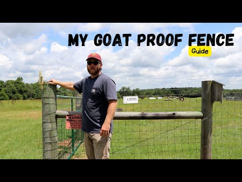 This is the PERFECT Fence for Goats—The Ultimate Guide to Pasture Setup | Design Homestead