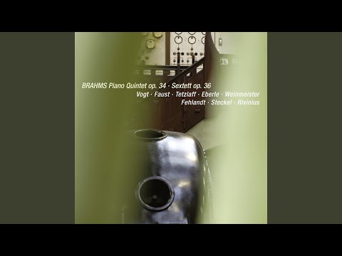 Brahms: String Sextet No. 2 in G Major, Op. 36: I. Allegro non troppo (Live)