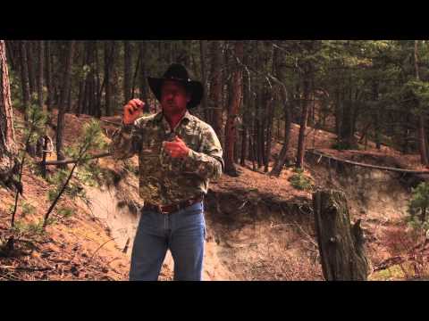 DUEL Cottontail Distress duel game calls HD