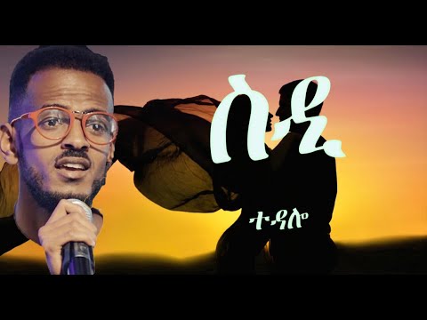 2021 Eritrean Song - Sdi lyric video by Tedalo/ተዳሎ - ስዲ