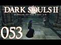 Dark Souls 2 [053] - Sicherheitsmaßnahmen