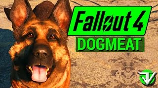 FALLOUT 4: Dogmeat COMPANION Guide! (Everything You Need to Know About Dogmeat)