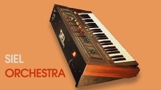 Video thumbnail for SIEL ORCHESTRA String Machine 1979 | HD DEMO by AnalogAudio1