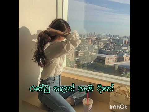 Hithata Thadin Danena Lyric Video