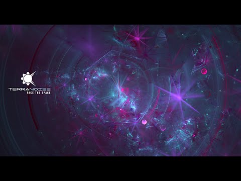 Terranoise - Face The Space (2008 Unreleased)