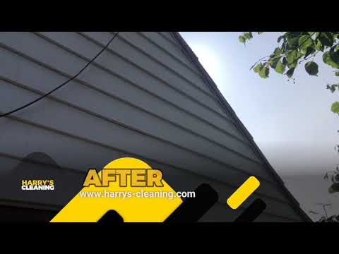 Harry's Cleaning video.