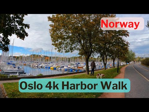 Oslo, Norway 🇳🇴 | 4k October Harbor Walk | Frognerkilen Walking Tour 2022 | 4K/60fps HDR