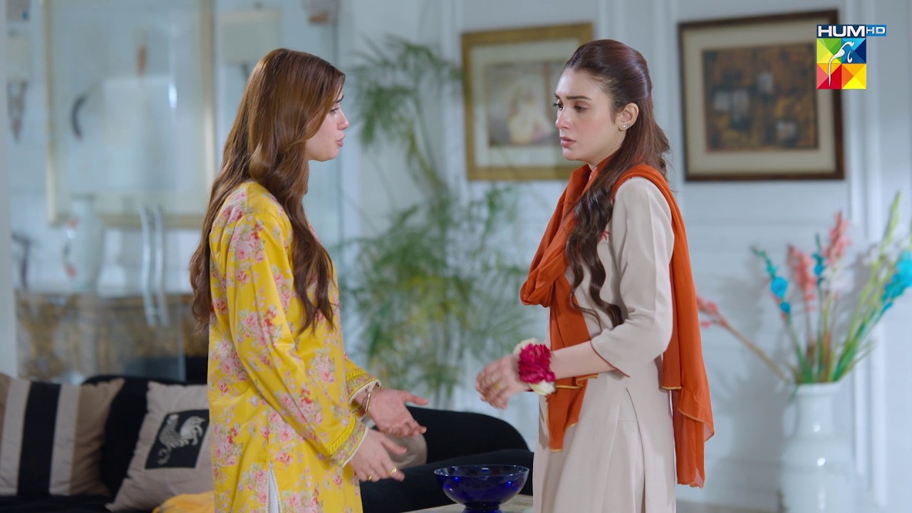 Ye Jhootay Aansoo Kisi Aur Ke Samnay Bahana Aniza..! #hinatariq - Aye Dil Aazma Nahin - HUM TV