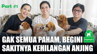 Download lagu BERHATI MALAIKAT, KELUARGA RAMADHAN CINTAI BELASAN ANJING SEPERTI ANAK | BAGIAN 1 mp3