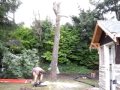 Ryan Cutting Down Tree