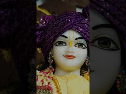 Gouranga Gouranga song || #harekrishna #shorts #radheradhe #radhakrishna