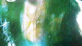 Natasha &quot;Hey Hey Hey&quot; Music Video Excerpt - Shoes