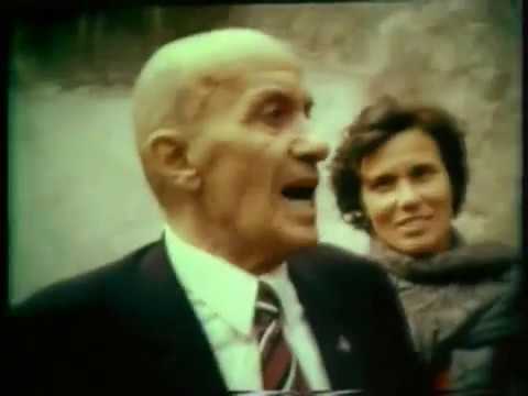 ალპური ვარსკვლავი [Stella alpina]