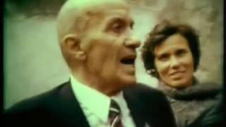 ალპური ვარსკვლავი [Stella alpina]