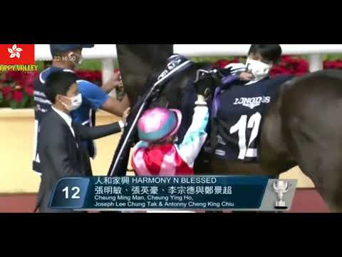 2020 12/9 R 9 Hollie  Doyle  ! Harmony N Blessed ! T D   Hayes @ Happy valley 1st win ? Full movie