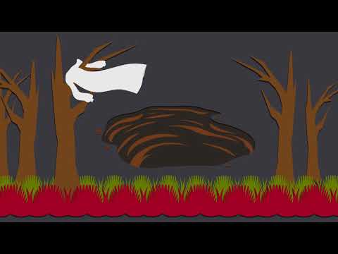 Video thumbnail for ​coughing up amber