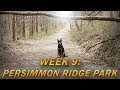 Persimmon Ridge Park Jonesborough TN