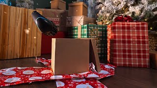 Chirp The Gift of Relief - Chirp RPM Mini