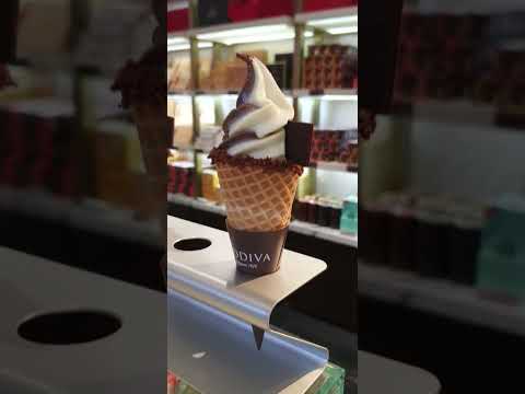 Godiva Signature Ice Cream