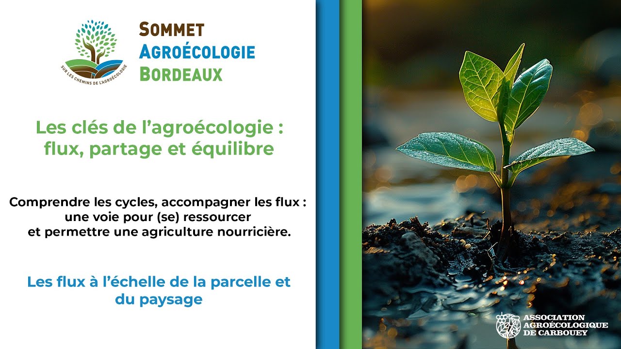 04   Les flux à l’échelle de la parcelle et du paysage