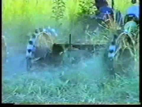 Roçadeiras Dalle Vedove