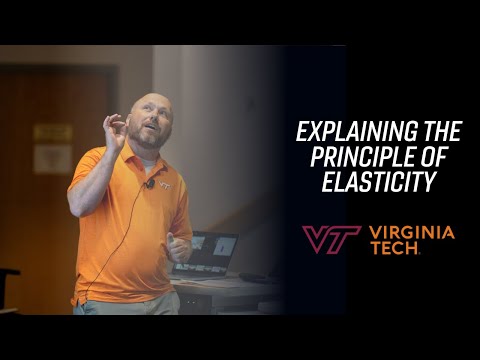 Economy class explains the principle of elasticity